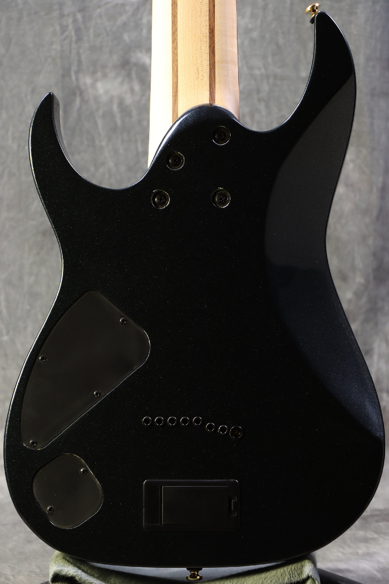 Ibanez RG80F IPT 8弦 【生産完了品】 Ibanez Standard RG80F-IPT Iron Pewter | MUSIC STORE professional