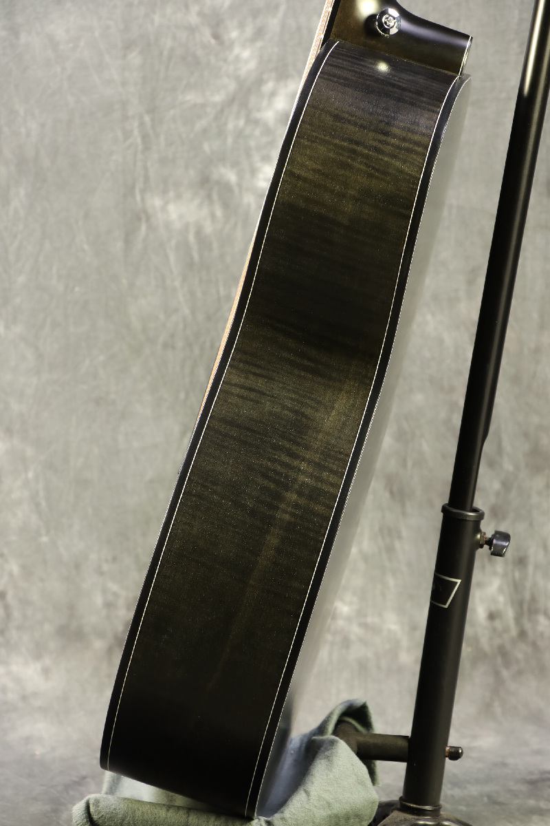 Ibanez / AC429E-OTB Open Pore Transparent Black Semi Gloss