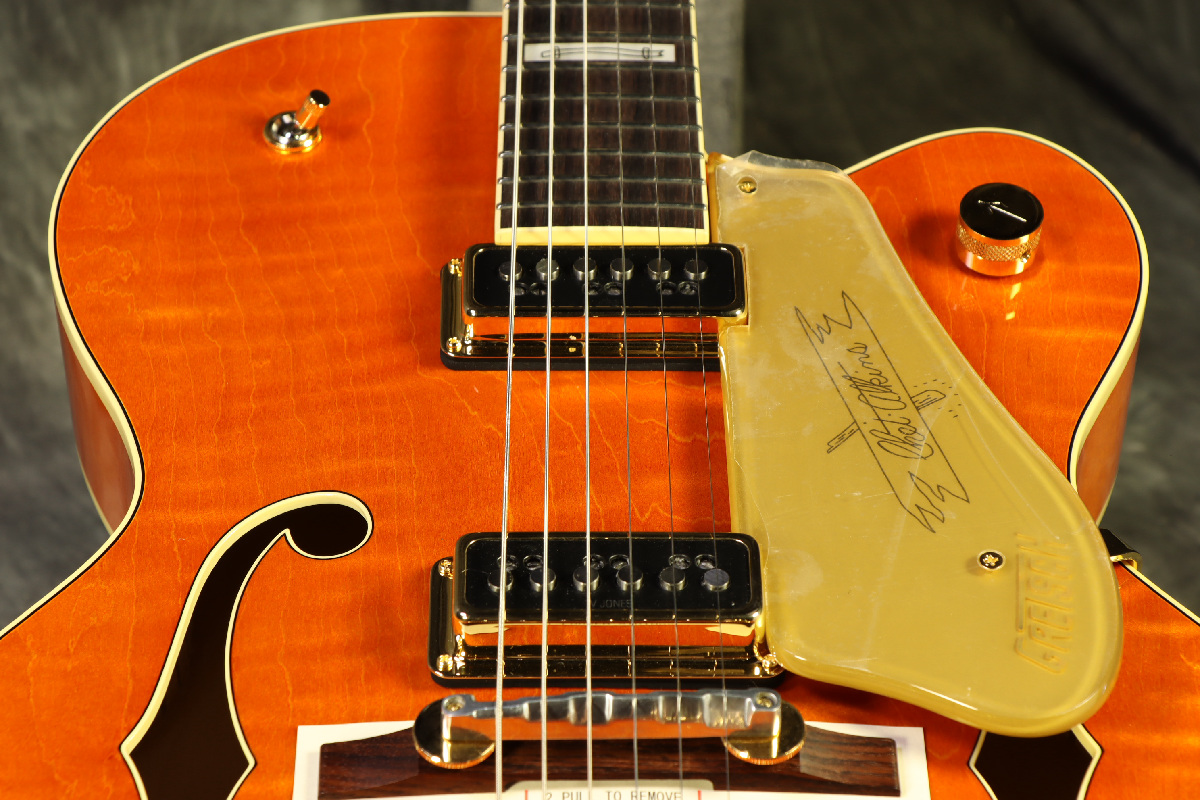 アンクレット AP-5 | ESP GUITARS
