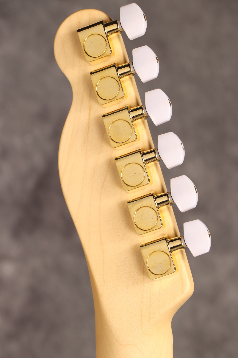 Fender USA / James Burton Telecaster Red Paisley Flames