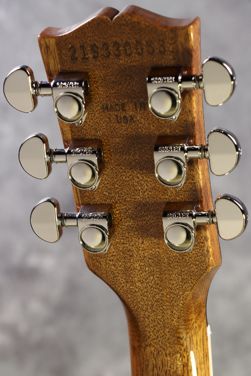 Gibson USA / Exclusive Model Les Paul Standard 60s Honey Gibson USA / Exclusive Model Les Paul Standard 60s Honey
