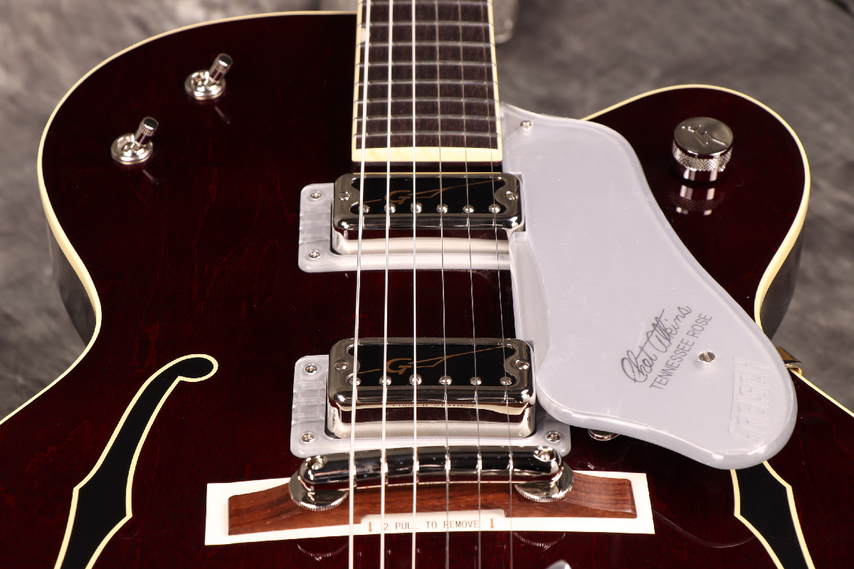 Gretsch / G6119T-62 Vintage Select Edition '62 Tennessee
