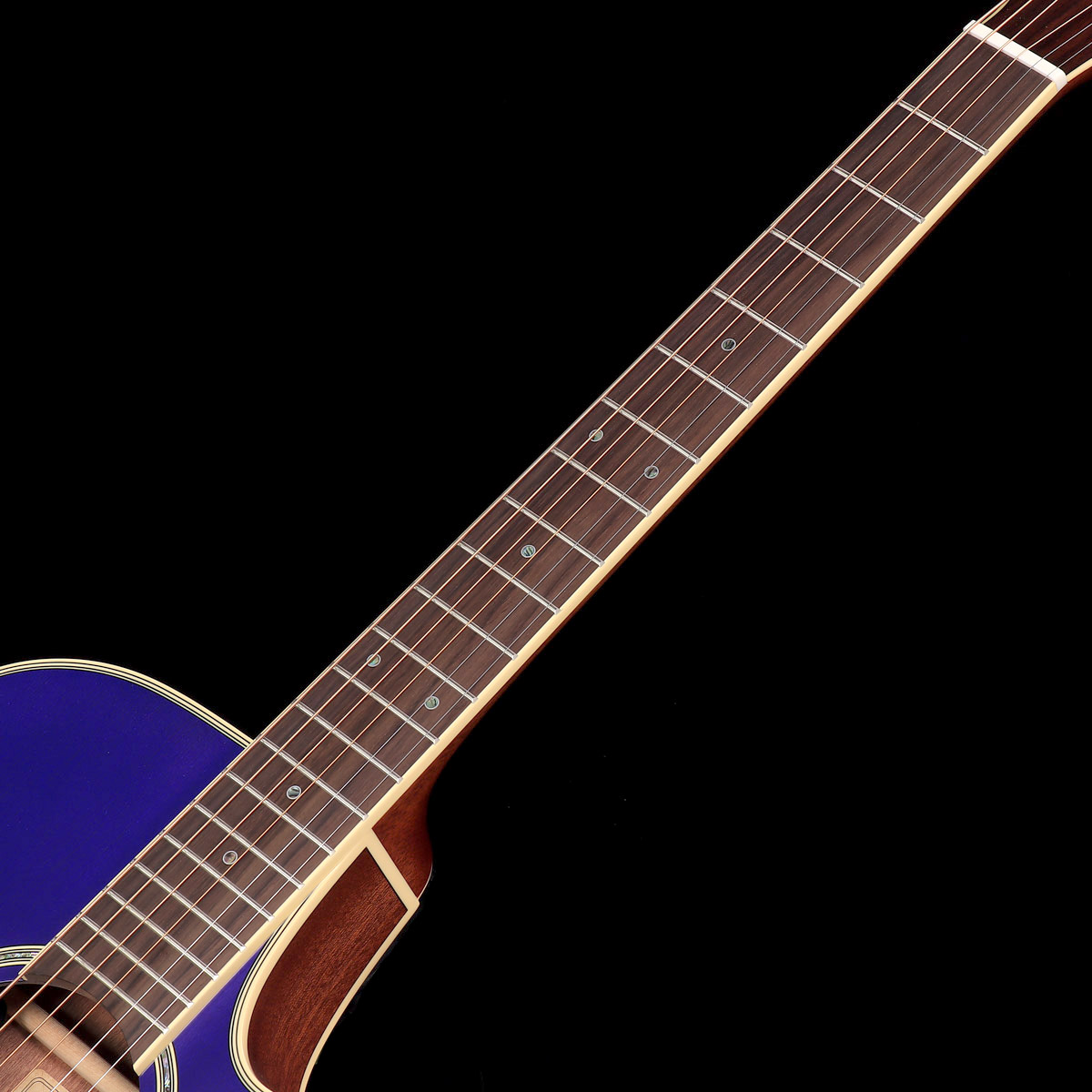 Takamine / TSP138C Original Order 紺桔梗色 Trans Blue-Purple