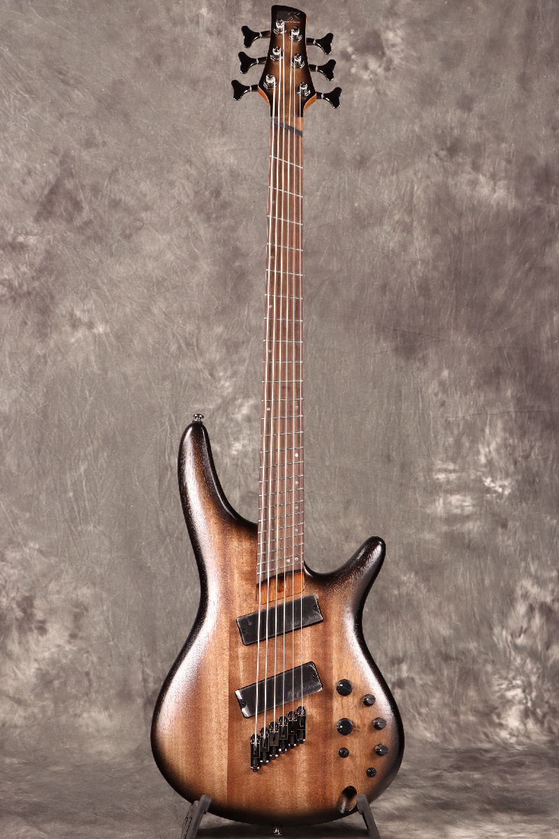 ✨極美品/初期不良60日保証✨Ibanezアイバニーズ SRC6MS 1P-02 SRC6MS | SR | ELECTRIC BASSES | PRODUCTS | Ibanez guitars