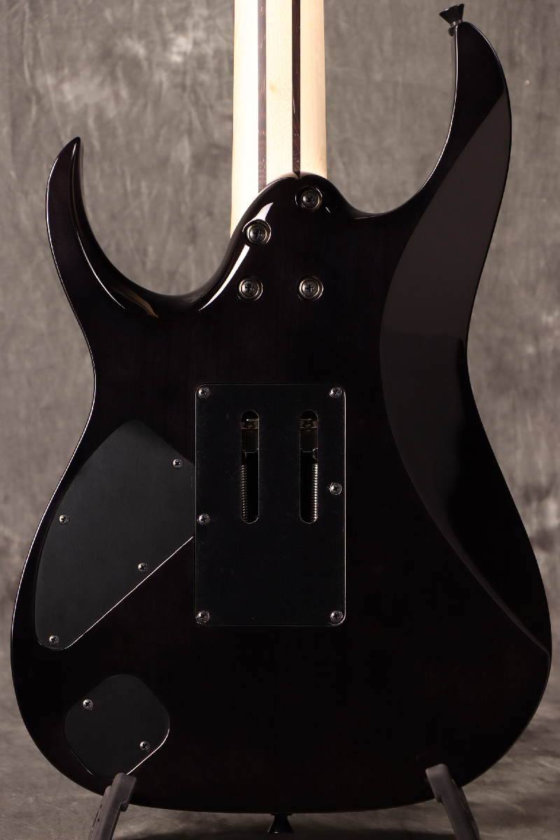 Ibanez AEL4512SE-NT-3T-01【 新品弦3セット付き】 317JCHgW5SL._UF350,350_QL80_.jpg