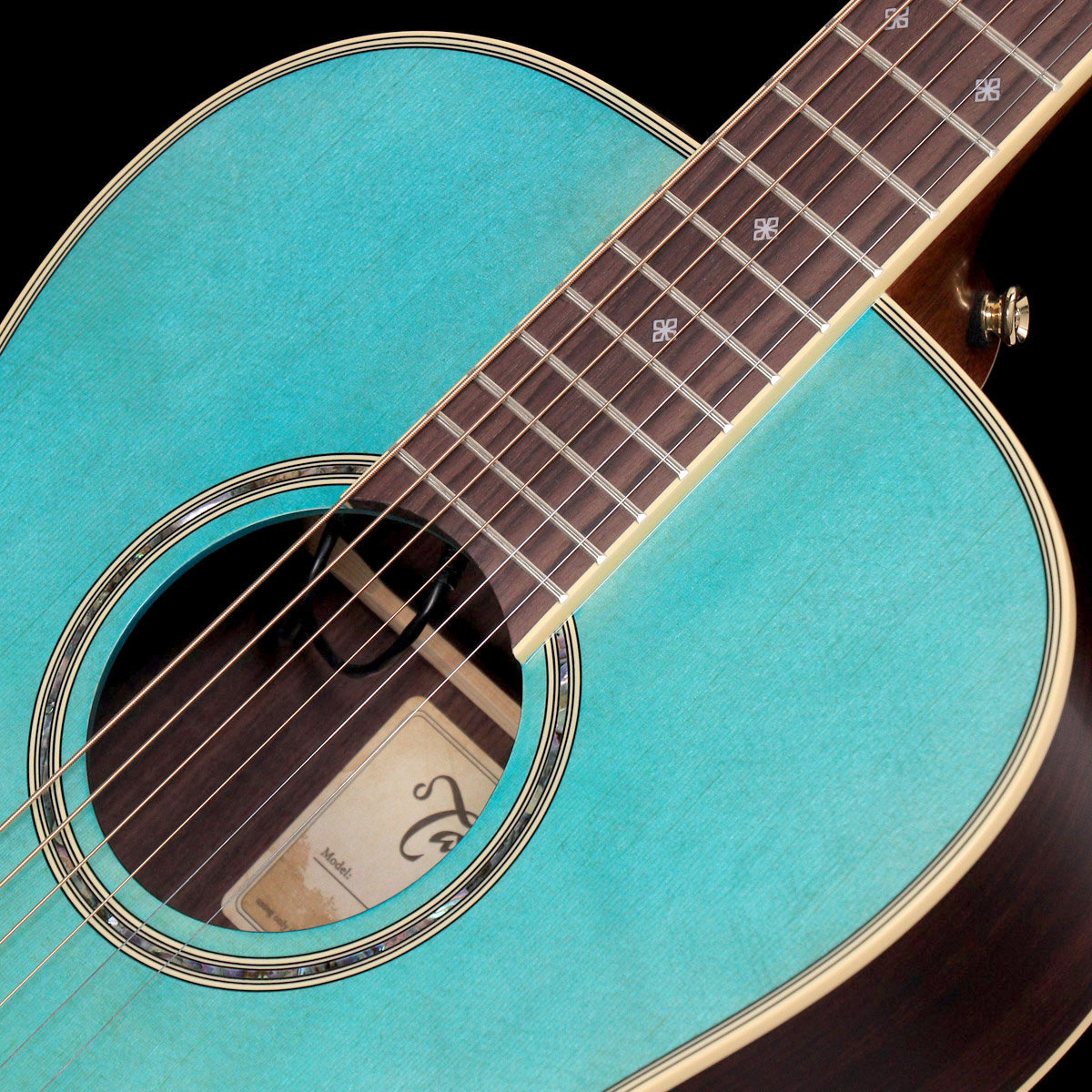 Takamine 400custom PTU441 若草色