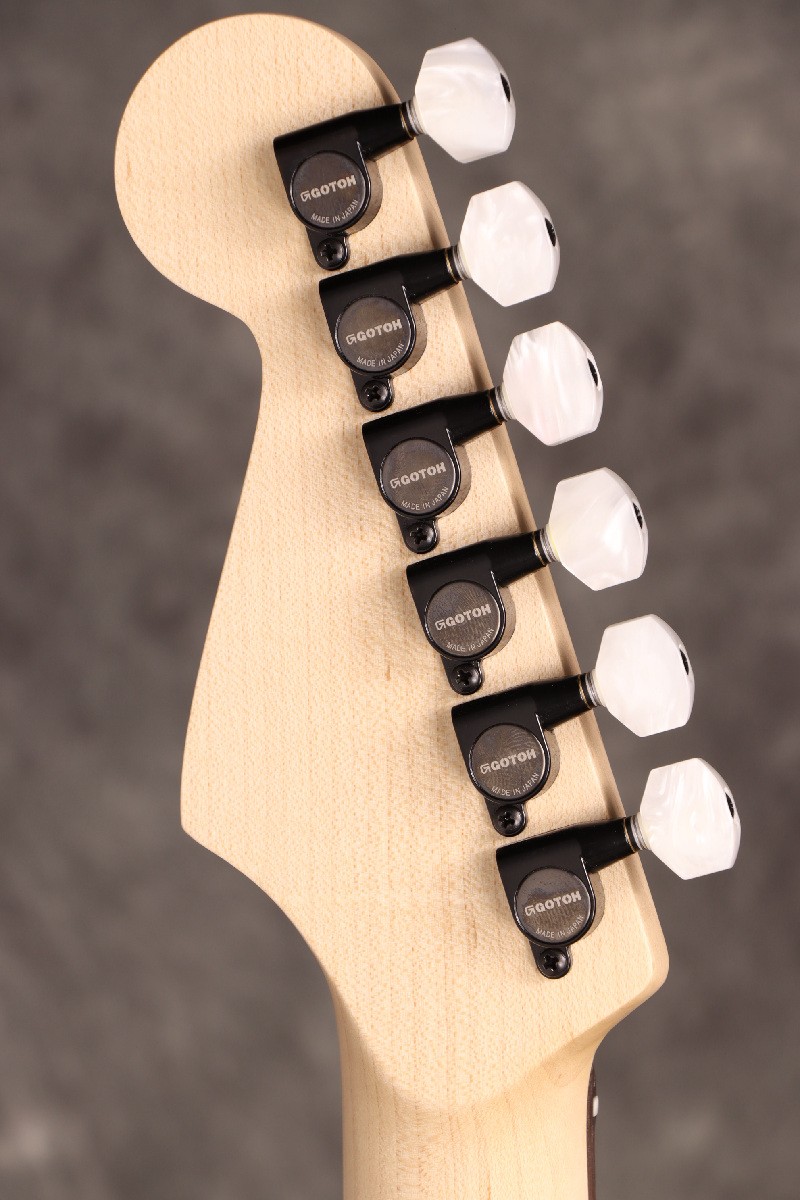 Charvel / Jake E Lee USA Signature Model Rosewood