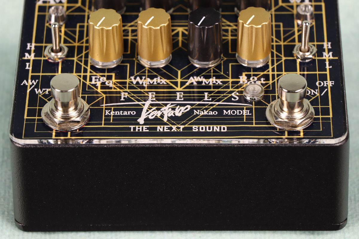 NEXT CHORUS ギターエフェクター BOSS CE-1の最高峰クローン！PastFx Chorus Ensemble MN3007を