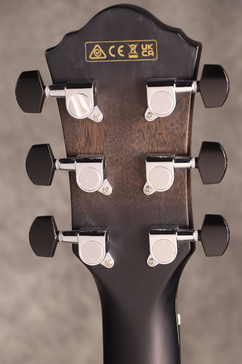Ibanez / AEWC400-TKS (Transparent Black Sunburst) [傷有B級