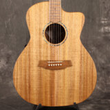 Cole Clark / AN Grand Auditorium Series CCSAN1EC-BLBL All Blackwood Studio Grade ڼʪ/̤Ÿʡ[S/N:2407467]