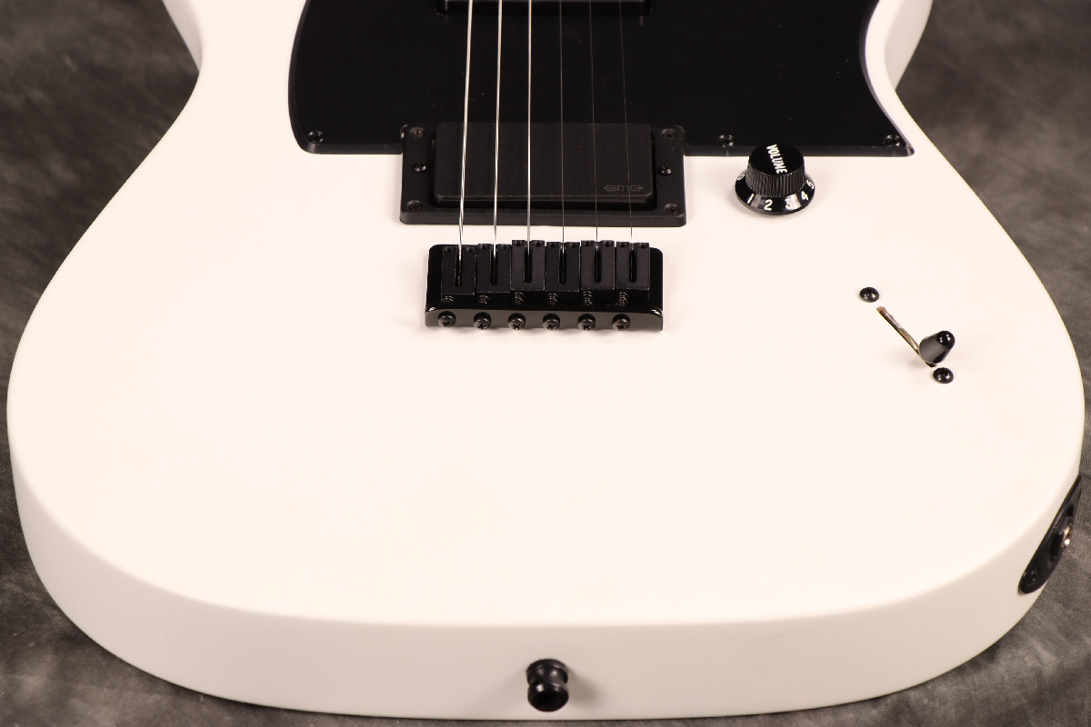 FenderMexicoテレキャスター jimRootモデル土日値下げ WEBSHOPクリアランスセール》Fender / Jim Root Signature