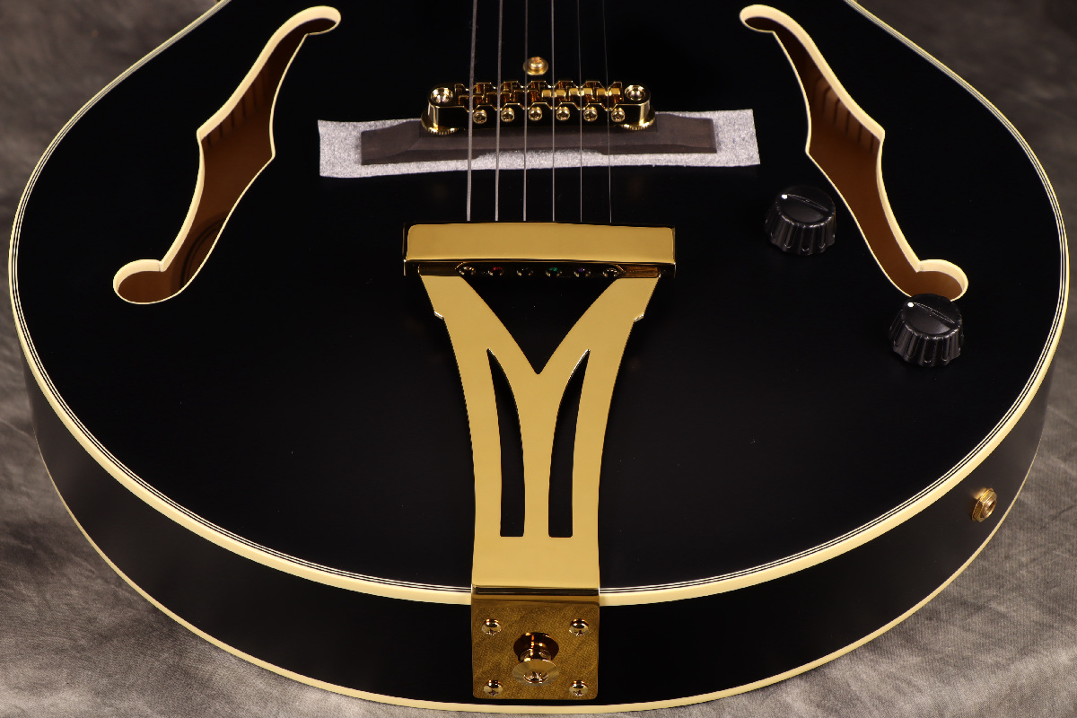 Ibanez / Pat Metheny New Signature Model PM3C-BKL (Black Low