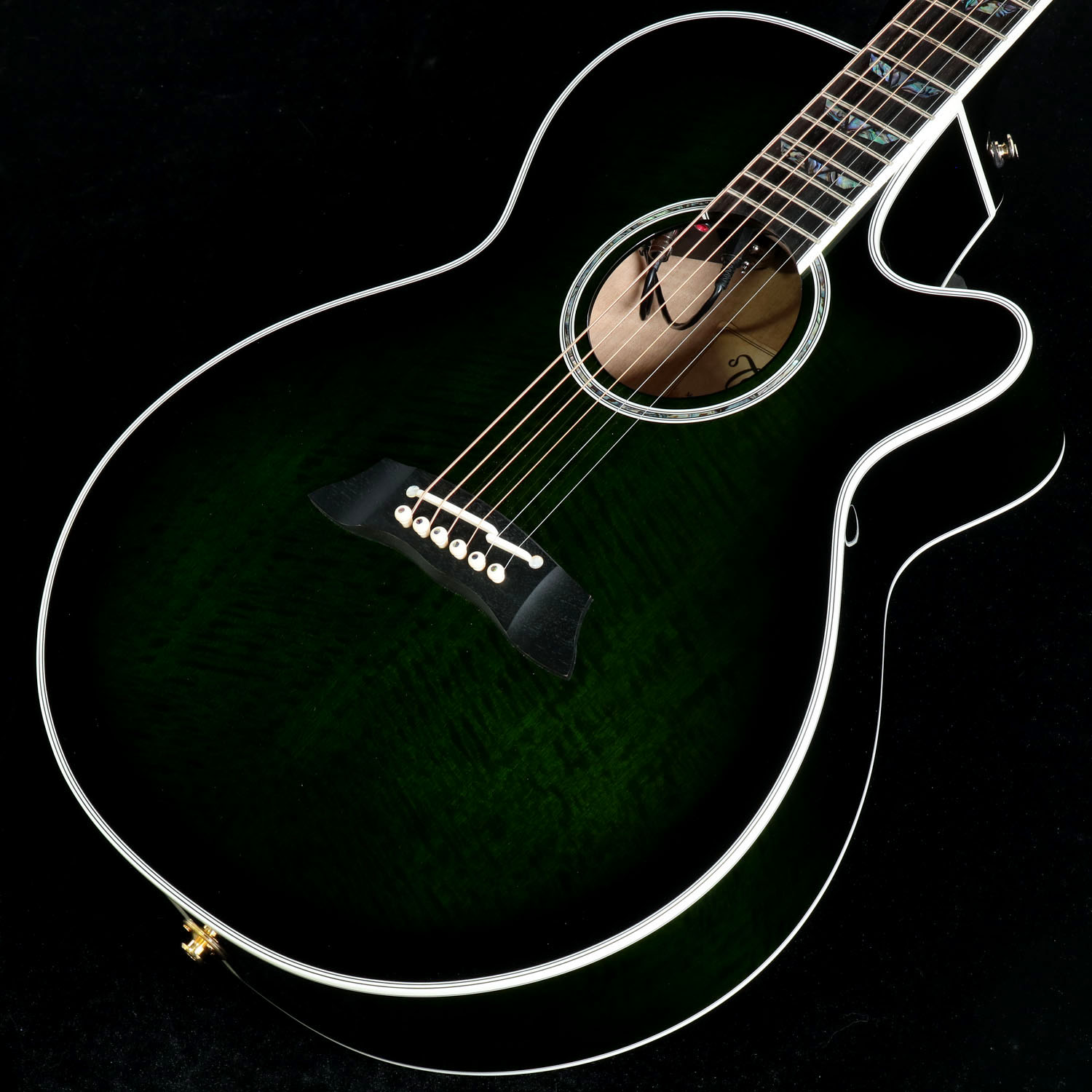 Takamine / TDP181AC SGS 日本製 【S/N 61110324】【池袋店