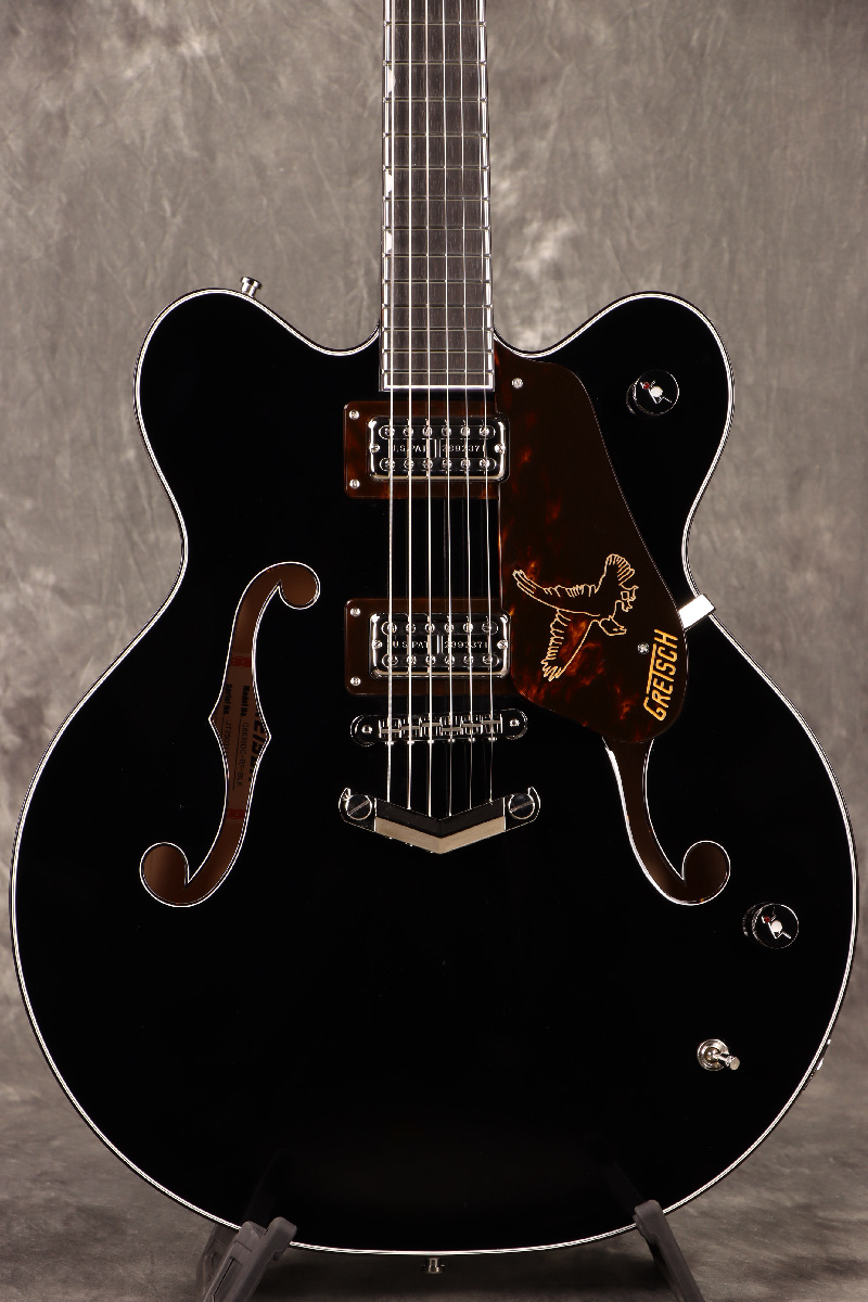 Gretsch / G6636-RF Richard Fortus Signature Falcon with V