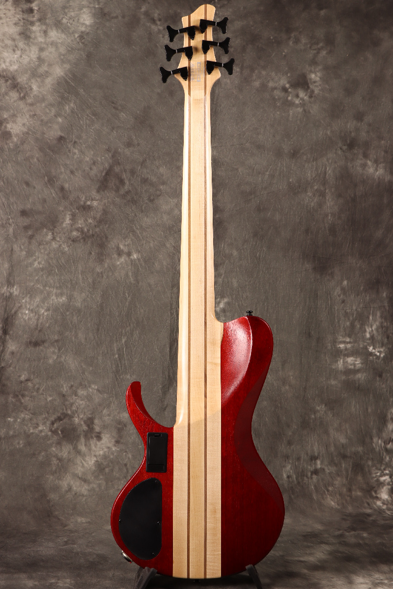 Ibanez / Workshop Series BTB866SC-WKL Weathered Black Low
