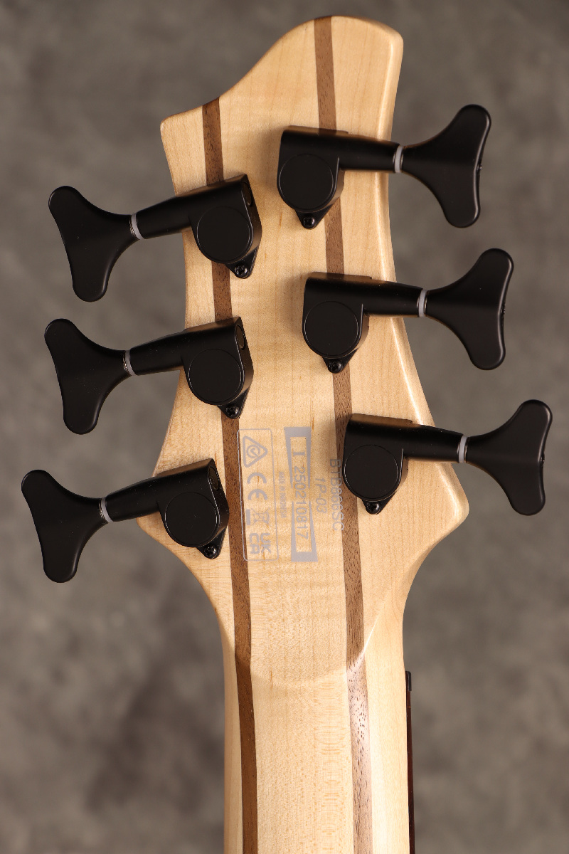 Ibanez / Workshop Series BTB866SC-WKL Weathered Black Low