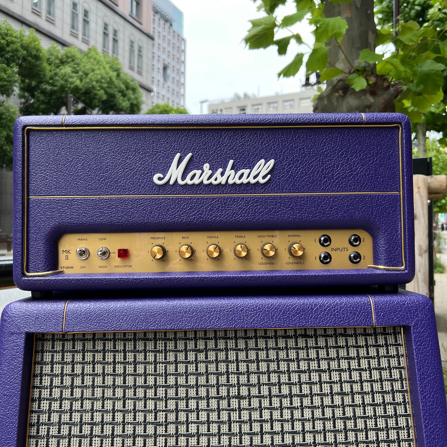 Marshall / Custom Color for DESIGN STORE SV20H SV212 Cabinet