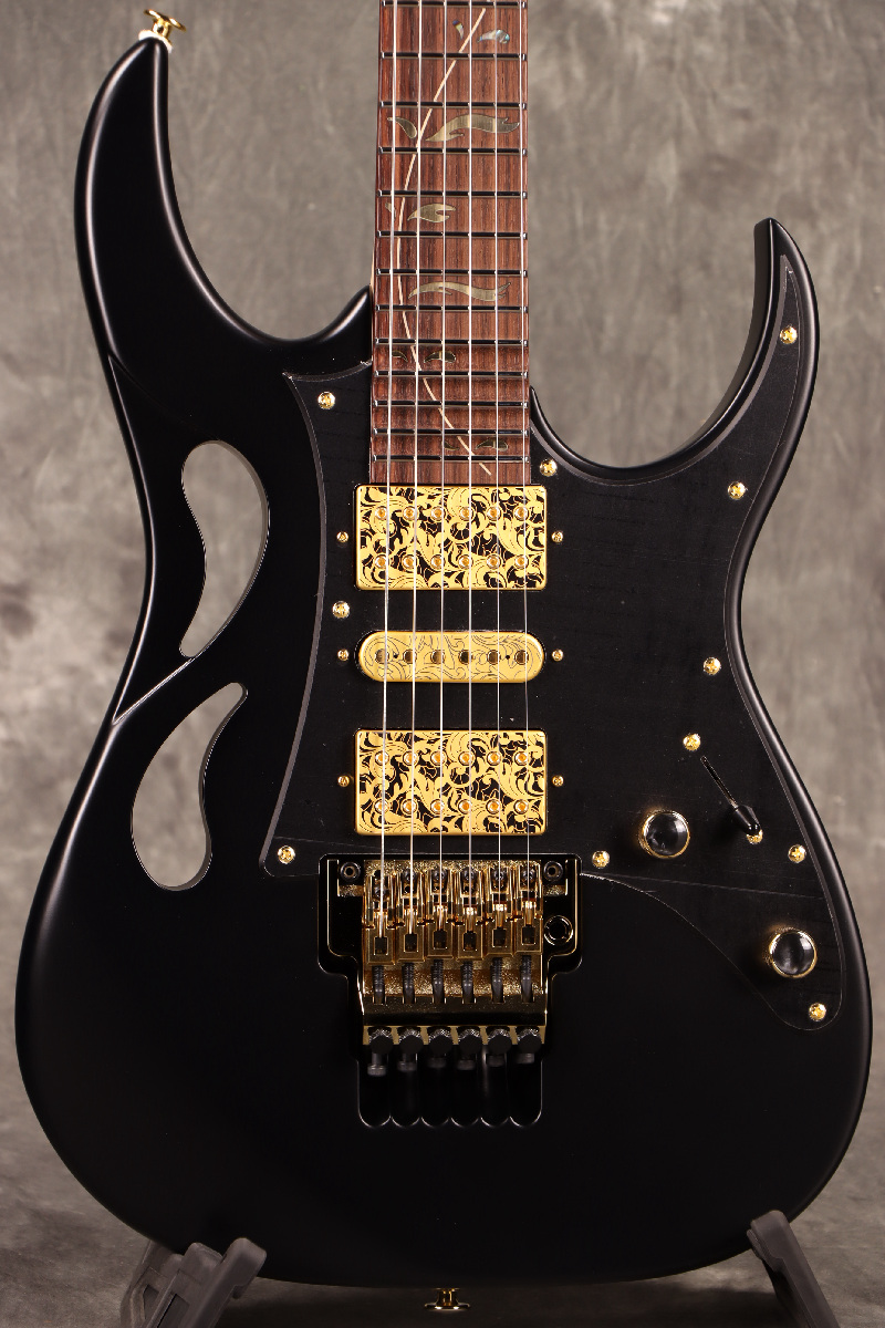 Ibanez / 