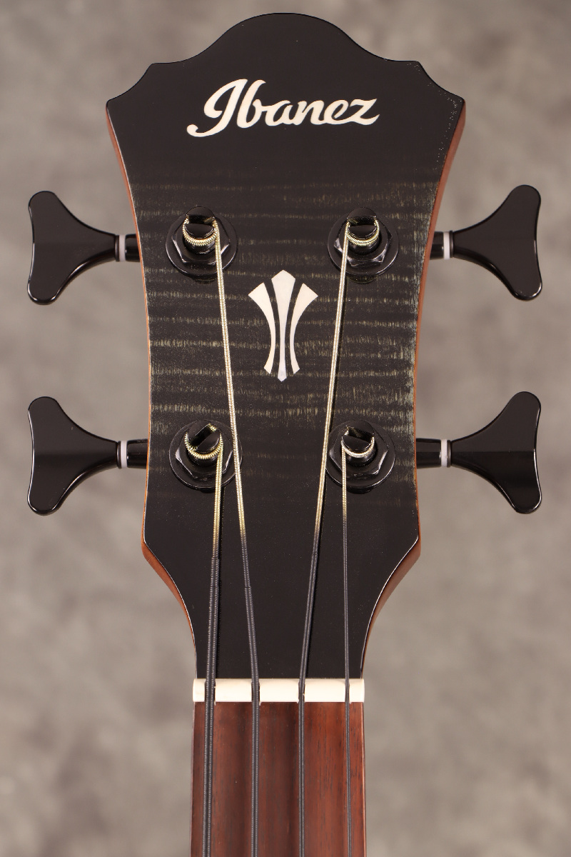 ibanez AEGB20E アイバニーズ　エレアコベース ibanez AEGB20E アイバニーズ エレアコベース アコースティック