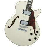 D'Angelico / Premier SS Champagne ǥ󥸥ꥳ ߥƥåڸʸ¤òʡ