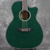WEBSHOPꥢ󥹥Takamine / LTD2025 AEG Antique Evergreen  ߥ  ڼʪ/̤Ÿʡ[S/N 62120728]