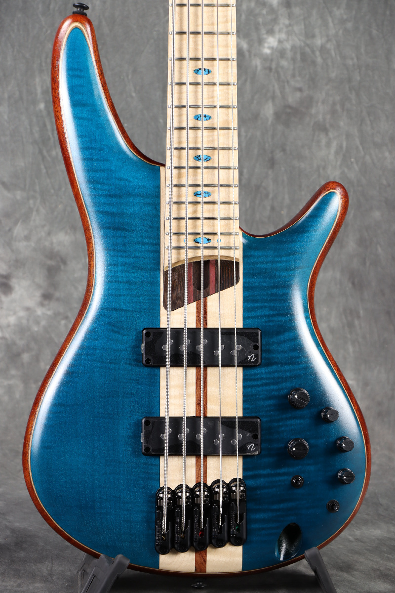 【超リピート キム】 Db 5_2 Sf Sw 15ml 2 計4 CP Ibanez / Premium Series SR1425B-CGL (Caribbean Green Low