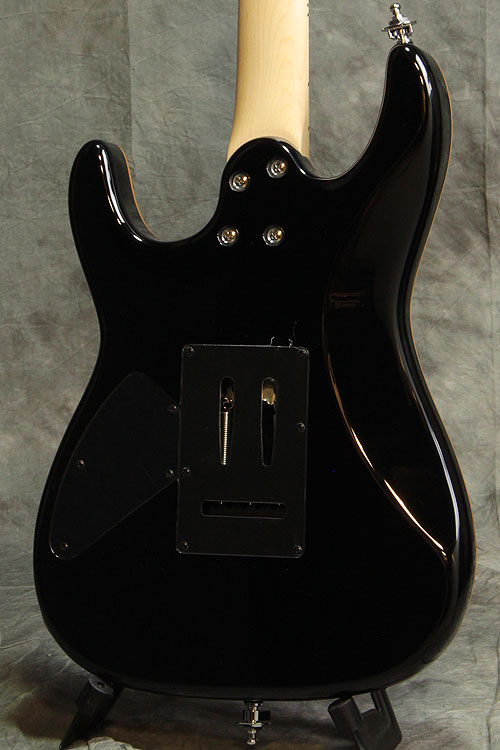 Selva Guitar Technology / Modern Black Cherry セルバ