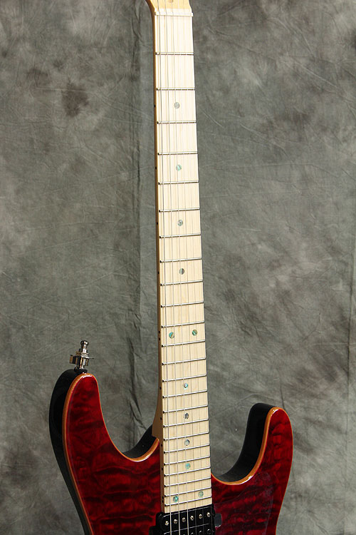 Selva Guitar Technology / Modern Black Cherry セルバ