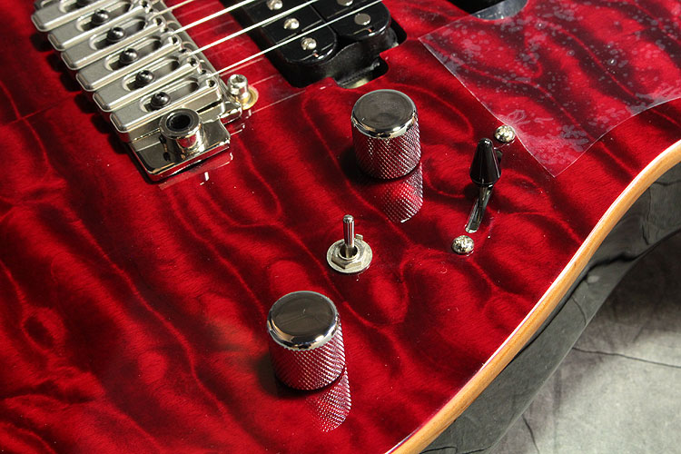 Selva Guitar Technology / Modern Black Cherry セルバ
