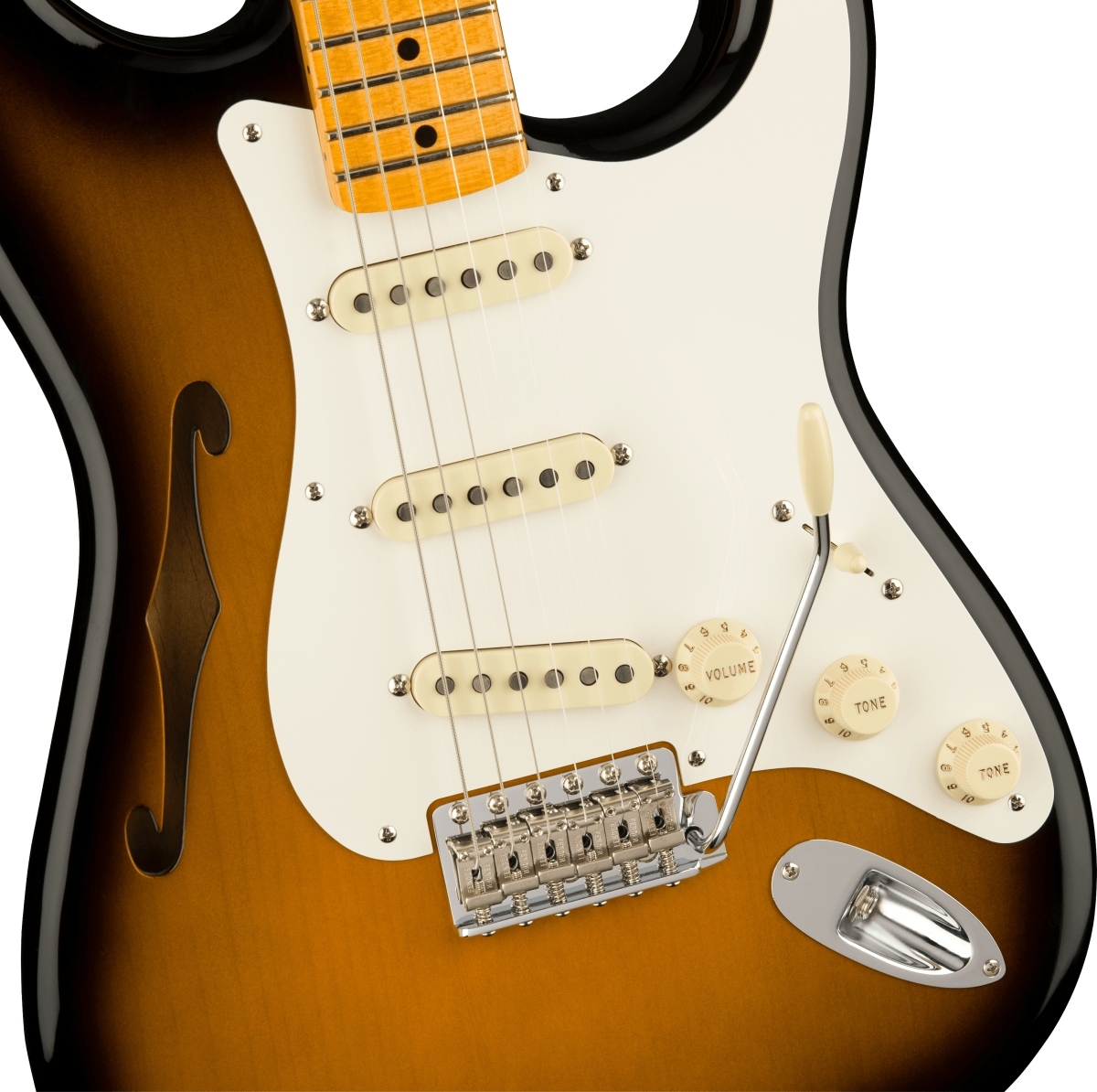 Fender USA / Eric Johnson Signature Stratocaster Thinline 2
