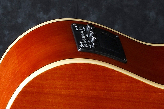 Ibanez/アイバニーズ アコースティックベース MODEL No.AEGB14E