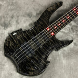 Warwick / Gearman Custom Shop Vampyre NT 5-Strings Nirvana