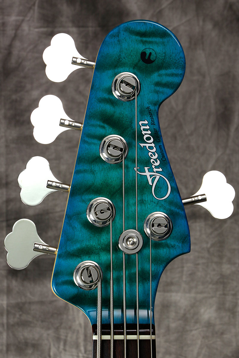 FREEDOM CUSTOM GUITAR RESEARCH / R.S.JB 5st 