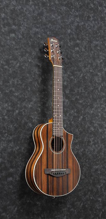 Ibanez / EWP13WB-DBO (Dark Brown Open Pore) 【B級