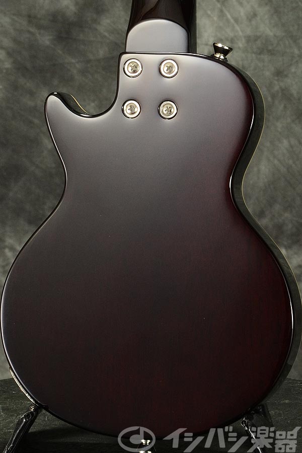 Epiphone / Les Paul Acoustic/Electric Concert Ukulele
