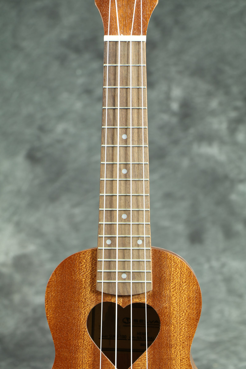 おまけで】 ウクレレ コンサート selva B8q6a-m76838612652 おもちゃ・
