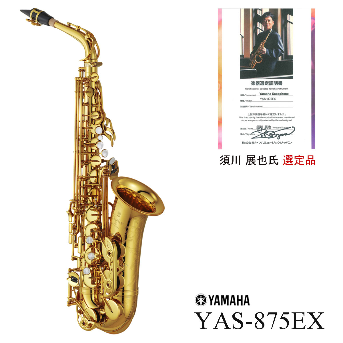 YAMAHA / YAS-875EX 須川展也氏選定品 アルトサックス カスタムEX 5年