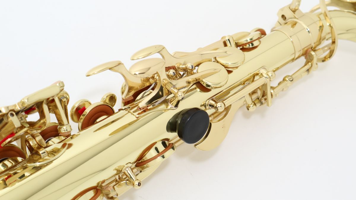 Selva セルバ　石橋楽器　アルトサックス 楽天市場】SELVA (セルバ) 初心者向けアルトサックス入門セット