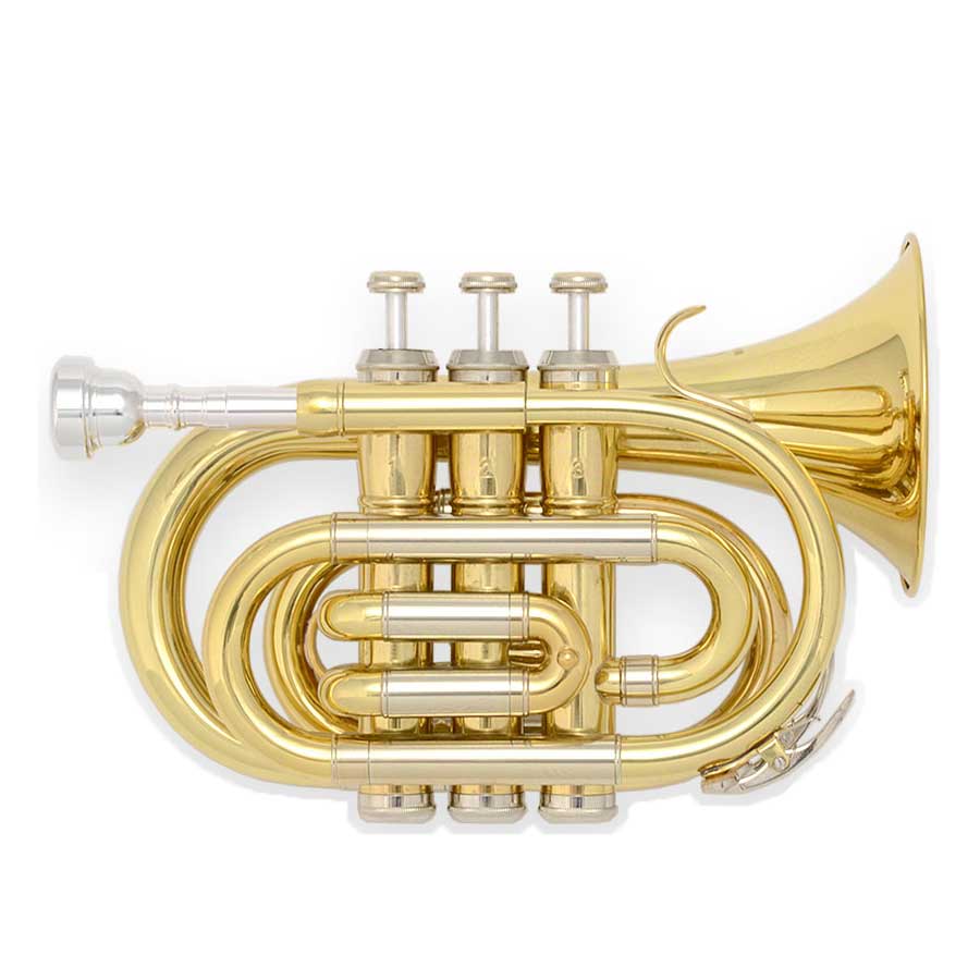 SELVA POKET TRUMPET SPTR-100 セルバ ポケットトランペット