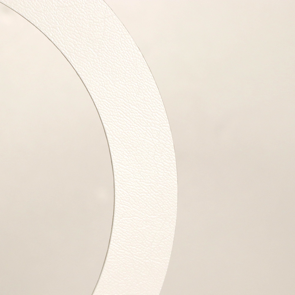 ASPR HCRWH Hole Cut Ring #White アサプラ ホールカットリング ホワイト イシバシ楽器