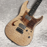 šT's Guitars / DST-22 Custom OrderͲۡڿŹ