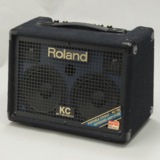 š Roland / KC-110 ڸοŹ