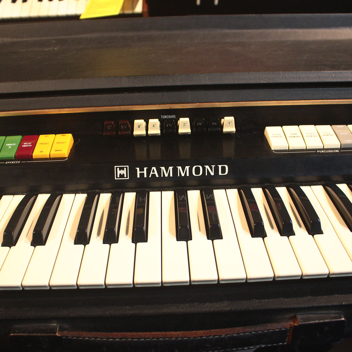 鍵盤楽器 Holocene NLMM Holocene Electronics Non-Linear Memory Machine - Richard