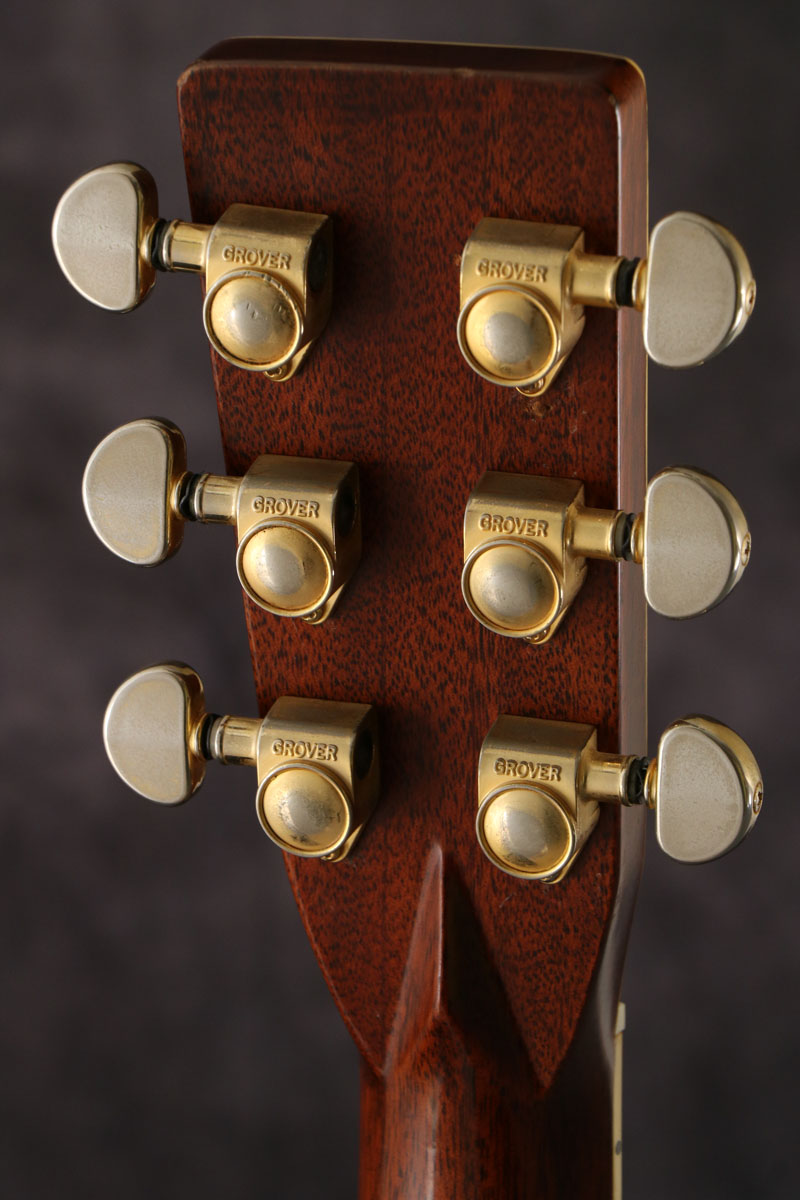 中古】Mountain / W-500D JUNK【御茶ノ水HARVEST_GUITARS