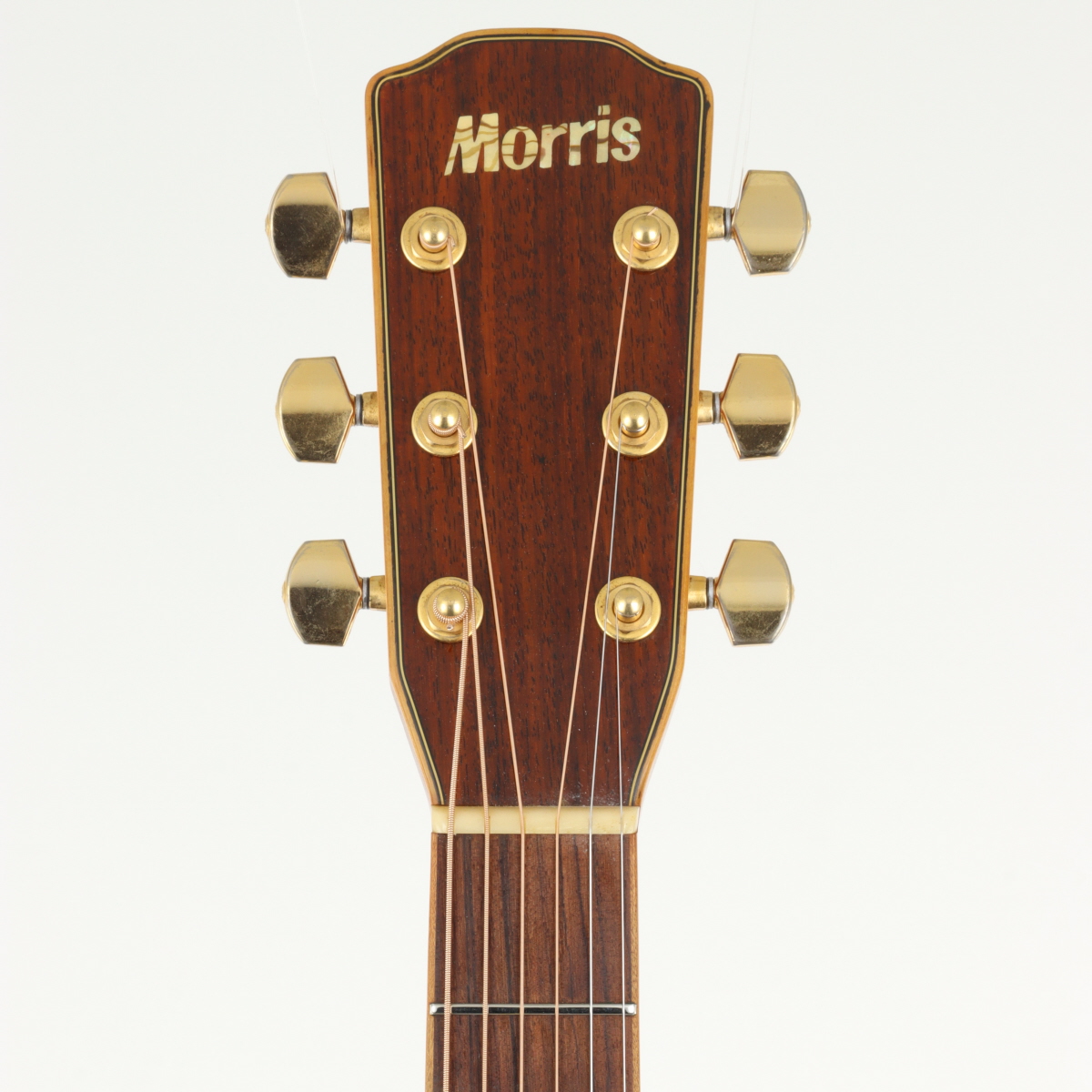 中古】Morris モーリス / MJS-130 Natural 【値下げ