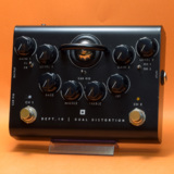 šBlackstar ֥å / DEPT.10 Dual Distortion