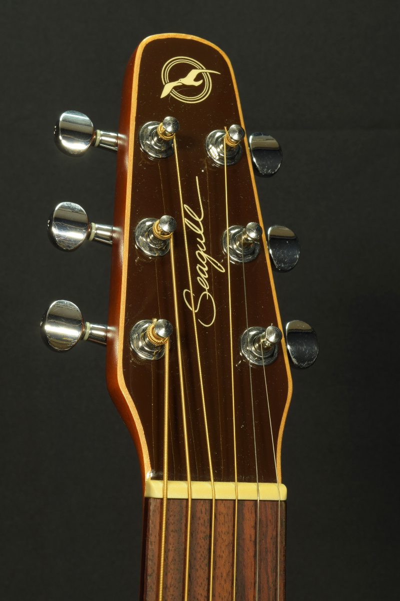 中古】Seagull シーガル / Coastline S6 Burst GT | イシバシ楽器