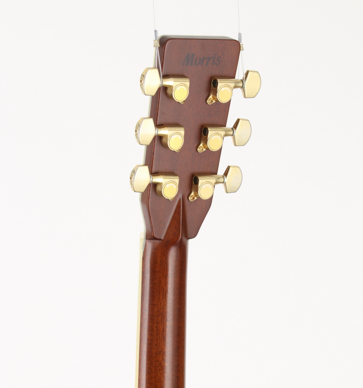 モーリス 中古】MORRIS / TF-150【御茶ノ水HARVEST_GUITARS】【5/30