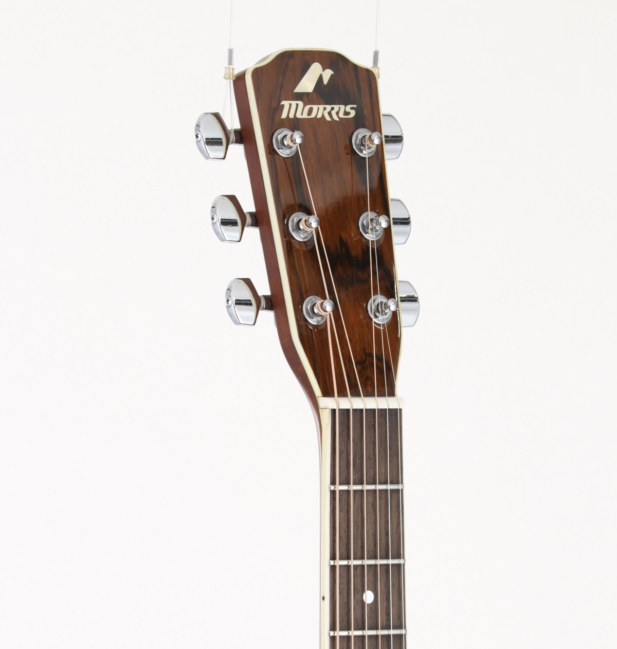 中古】MORRIS / M601 Tobbaco Sunburst【新宿店】【値下げ
