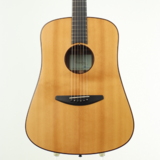 šbaden guitars / D-style SR